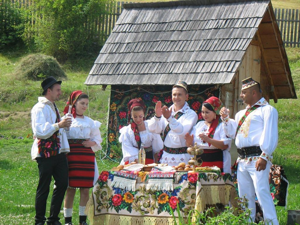 Casele De Vacanta Luca & Vicentiu Botiza Dış mekan fotoğraf