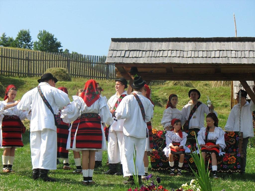 Casele De Vacanta Luca & Vicentiu Botiza Dış mekan fotoğraf