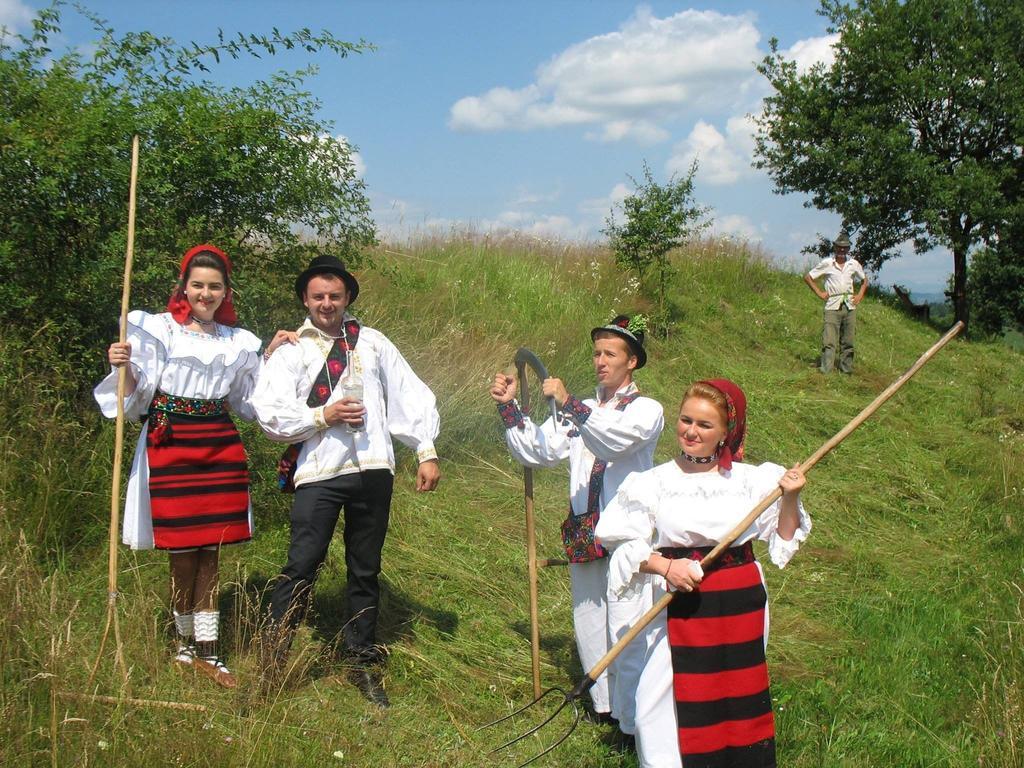 Casele De Vacanta Luca & Vicentiu Botiza Dış mekan fotoğraf