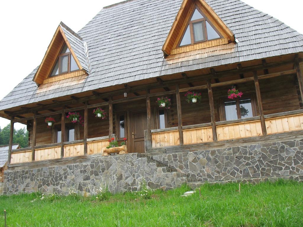 Casele De Vacanta Luca & Vicentiu Botiza Dış mekan fotoğraf