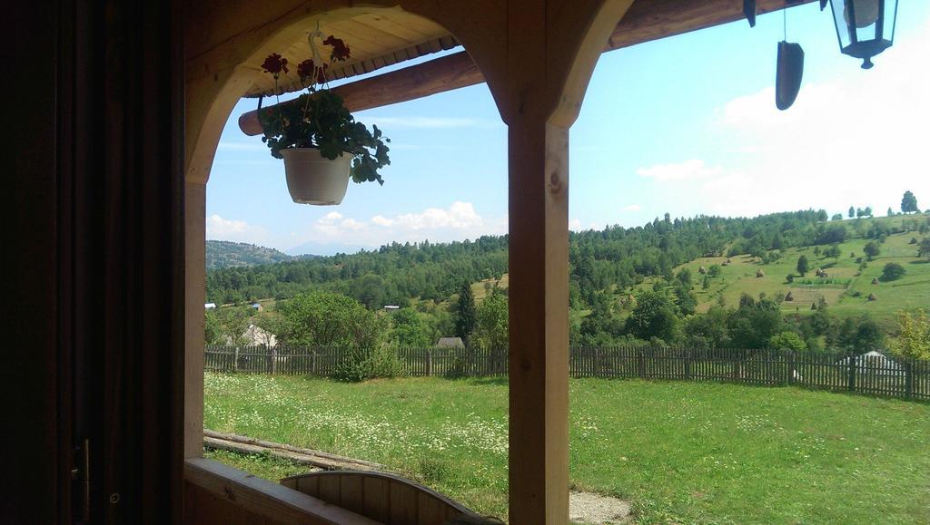 Casele De Vacanta Luca & Vicentiu Botiza Dış mekan fotoğraf